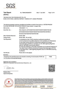 SGS Report SOT REACH 2021