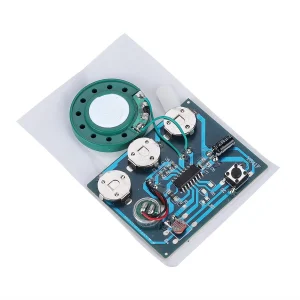 Basic knowledge of voice chip
